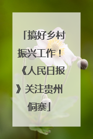搞好乡村振兴工作！《人民日报》关注贵州侗寨