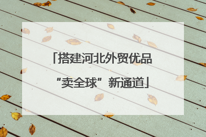 搭建河北外贸优品“卖全球”新通道