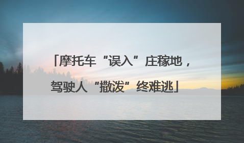 摩托车“误入”庄稼地，驾驶人“撒泼”终难逃