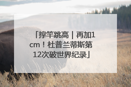 撑竿跳高｜再加1cm！杜普兰蒂斯第12次破世界纪录