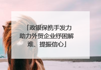 政银保携手发力 助力外贸企业纾困解难、提振信心