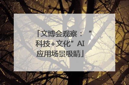 文博会观察：“科技+文化”AI应用场景吸睛