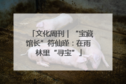 文化周刊｜“宝藏馆长”符仙瑾：在雨林里“寻宝”