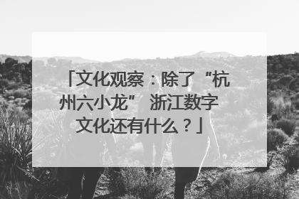 文化观察：除了“杭州六小龙” 浙江数字文化还有什么？