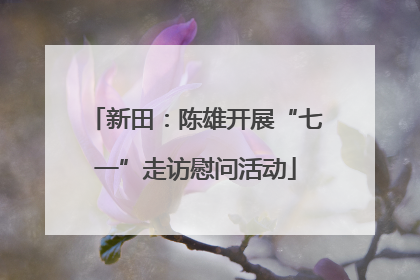 新田：陈雄开展“七一”走访慰问活动