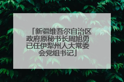 新疆维吾尔自治区政府原秘书长周旭勇已任伊犁州人大常委会党组书记
