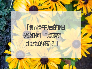 新疆午后的阳光如何“点亮”北京的夜？