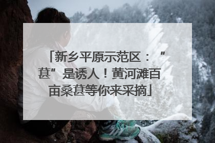 新乡平原示范区：“葚”是诱人！黄河滩百亩桑葚等你来采摘
