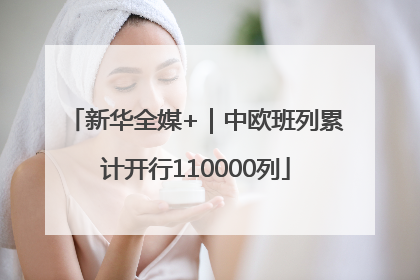 新华全媒+｜中欧班列累计开行110000列
