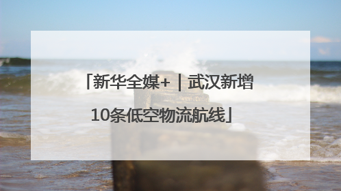 新华全媒+｜武汉新增10条低空物流航线