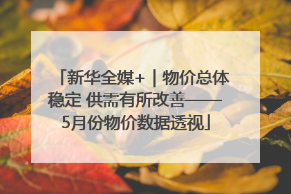 新华全媒+｜物价总体稳定 供需有所改善——5月份物价数据透视