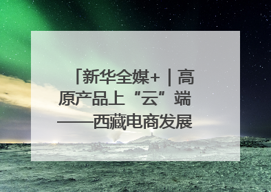 新华全媒+｜高原产品上“云”端——西藏电商发展一线观察