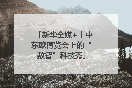 新华全媒+丨中东欧博览会上的“数智”科技秀