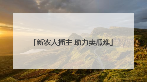 新农人播主 助力卖瓜难