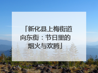新化县上梅街道向东街：节日里的烟火与欢腾