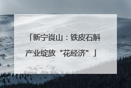 新宁崀山：铁皮石斛产业绽放“花经济”