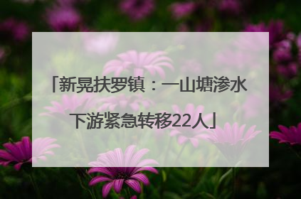 新晃扶罗镇：一山塘渗水 下游紧急转移22人
