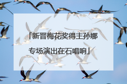新晋梅花奖得主孙娜专场演出在石唱响