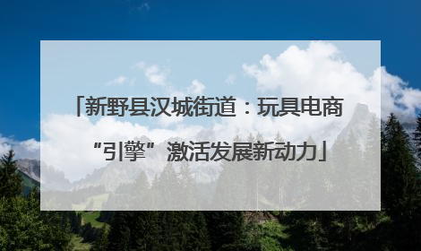 新野县汉城街道：玩具电商“引擎”激活发展新动力