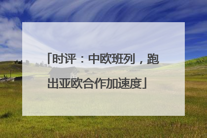 时评：中欧班列，跑出亚欧合作加速度