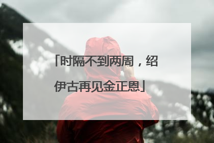 时隔不到两周，绍伊古再见金正恩