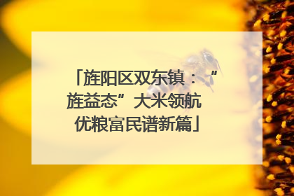旌阳区双东镇：“旌益态”大米领航 优粮富民谱新篇