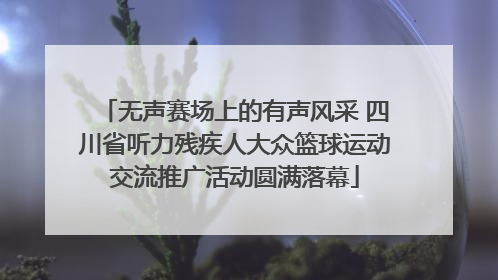 无声赛场上的有声风采 四川省听力残疾人大众篮球运动交流推广活动圆满落幕