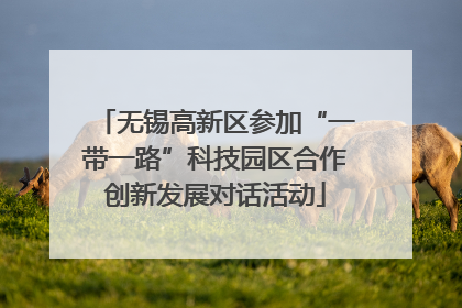 无锡高新区参加“一带一路”科技园区合作创新发展对话活动
