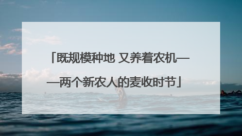 既规模种地 又养着农机——两个新农人的麦收时节