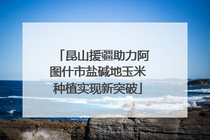 昆山援疆助力阿图什市盐碱地玉米种植实现新突破
