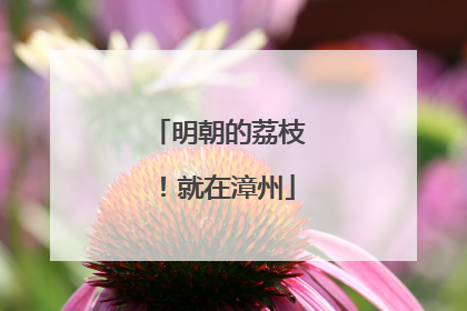 明朝的荔枝！就在漳州