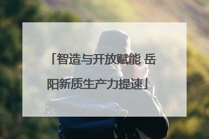 智造与开放赋能 岳阳新质生产力提速