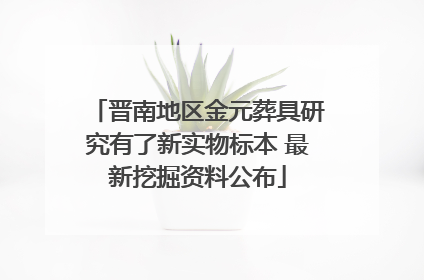 晋南地区金元葬具研究有了新实物标本 最新挖掘资料公布