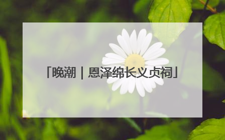 晚潮｜恩泽绵长义贞祠
