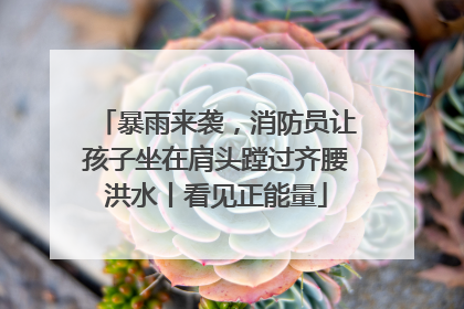 暴雨来袭，消防员让孩子坐在肩头蹚过齐腰洪水丨看见正能量
