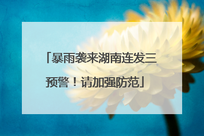暴雨袭来湖南连发三预警！请加强防范