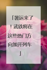 暑运来了！武铁将在这些热门方向加开列车
