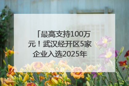 最高支持100万元！武汉经开区5家企业入选2025年度武汉市重点研发计划拟立项项目名单