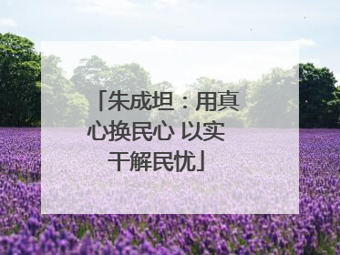 朱成坦：用真心换民心 以实干解民忧