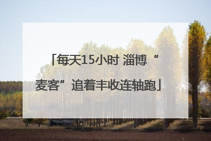 每天15小时 淄博“麦客”追着丰收连轴跑