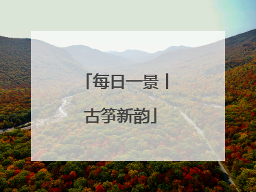 每日一景丨 古筝新韵