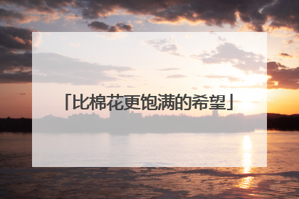 比棉花更饱满的希望