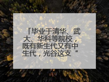 毕业于清华、武大、华科等院校，既有新生代又有中生代，光谷这支“理工男团”为何“出道”？