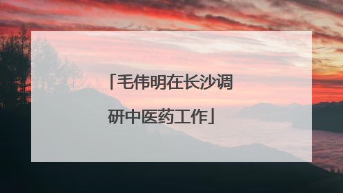 毛伟明在长沙调研中医药工作