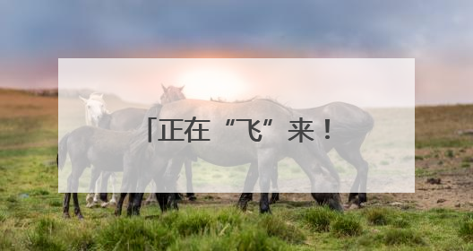 正在“飞”来！乌鲁木齐人速看 快递又有大动作