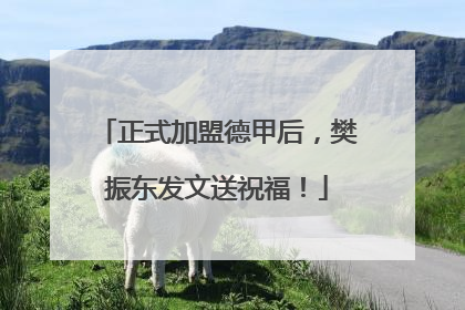 正式加盟德甲后，樊振东发文送祝福！