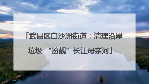 武昌区白沙洲街道：清理沿岸垃圾 “扮靓”长江母亲河