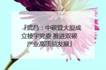 武昌：中碳登大厦成立楼宇党委 推进双碳产业高质量发展