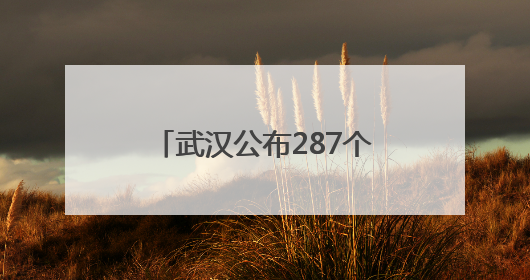武汉公布287个应急避难场所名单