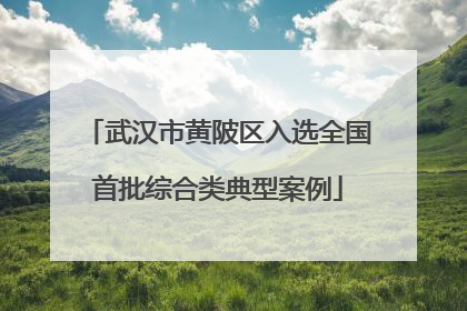 武汉市黄陂区入选全国首批综合类典型案例